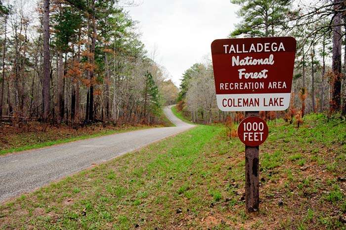 Coleman Lake Recreational Area East Alabama Travel Destinations