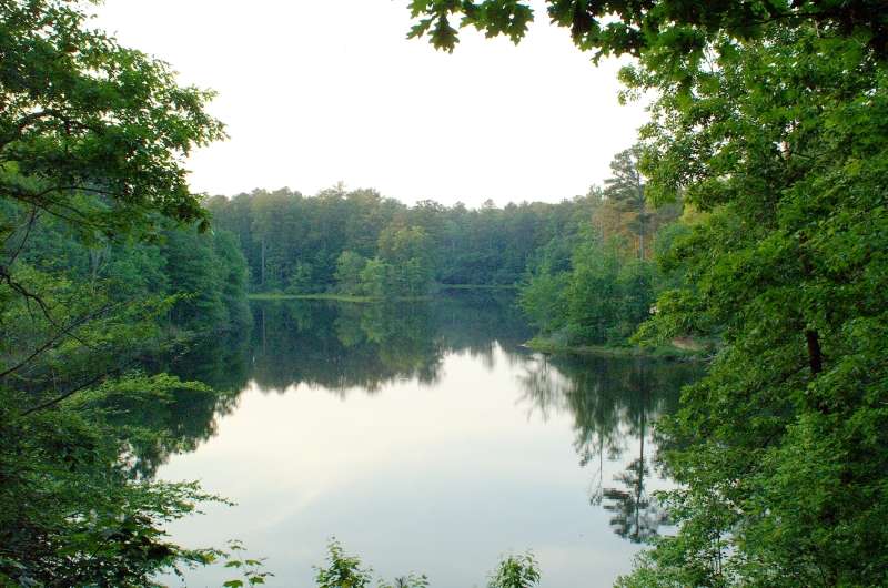 Coleman Lake Recreational Area East Alabama Travel Destinations